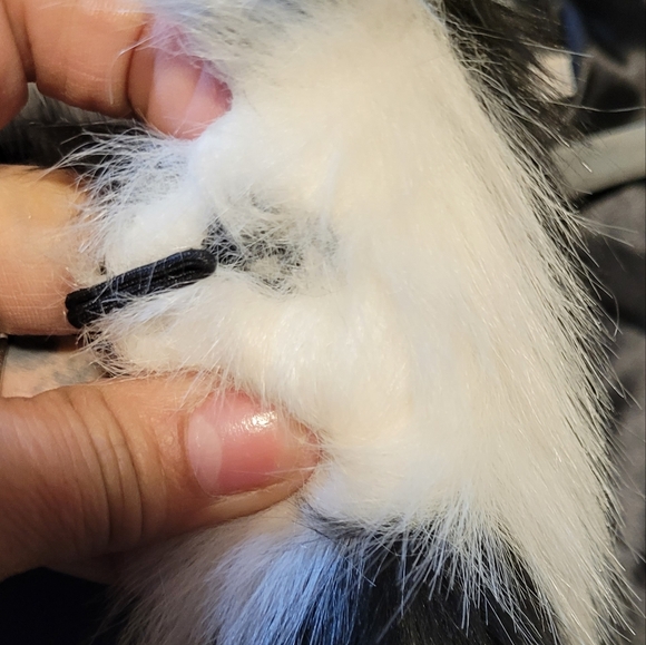 New Dorthy Perkins faux fur coat with side pockets. US 14 - Picture 4 of 4